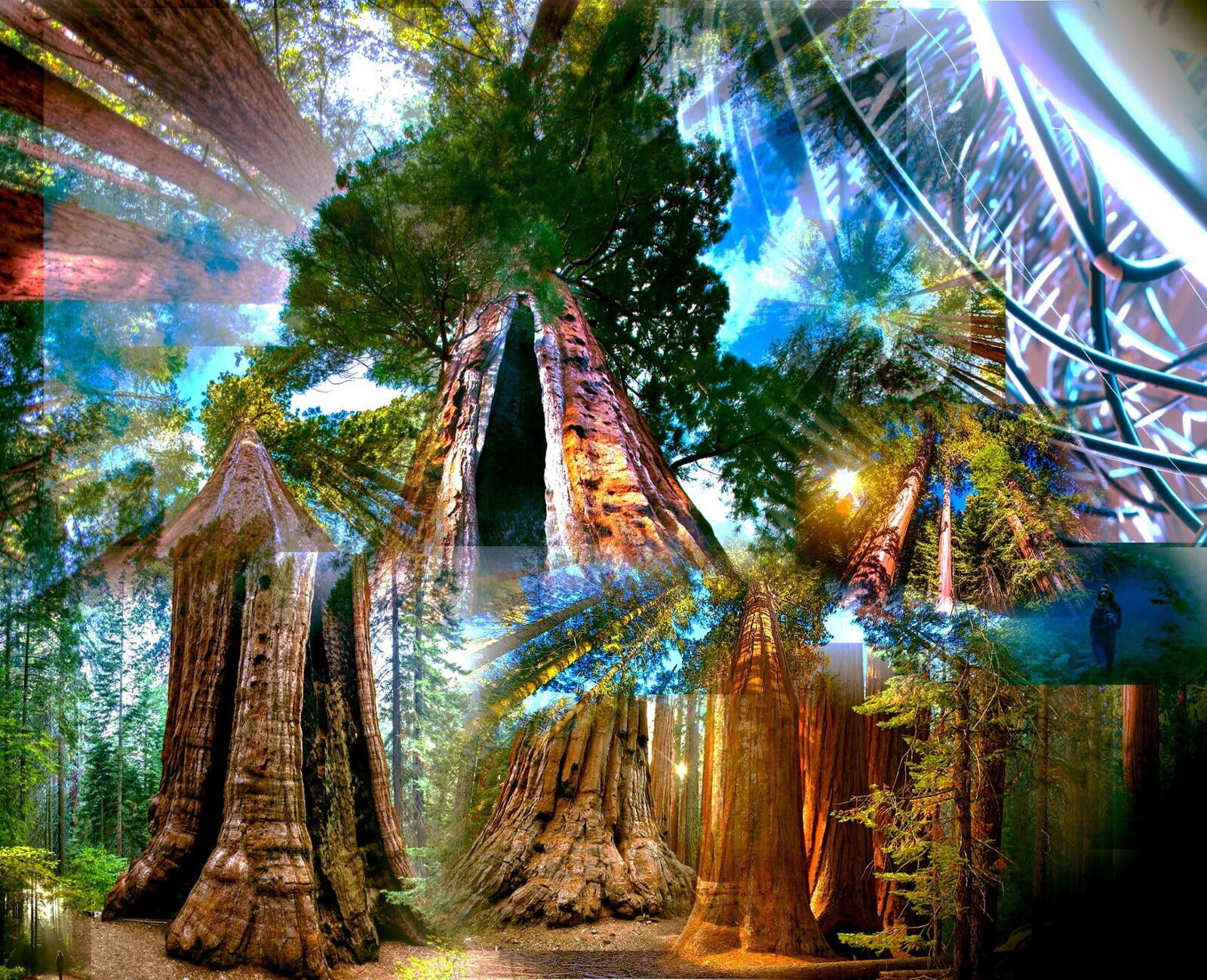 Image of gargantuan trees in a new world and sky with technology and a girl.